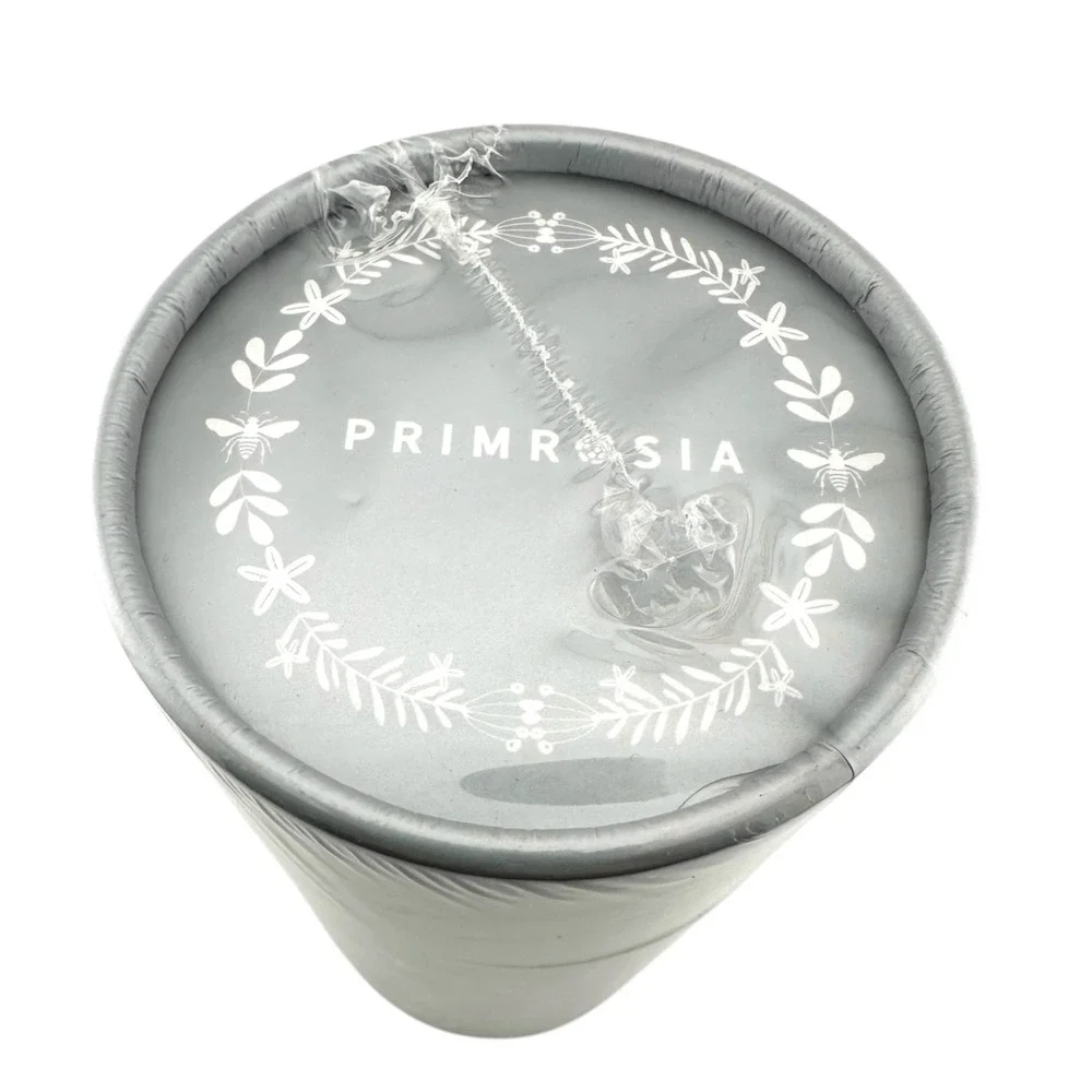 NEW Primrosia Celestrial 30 METALLIC Acrylic Paint Pens Extra Fine‎ Tips - Picture 2 of 5